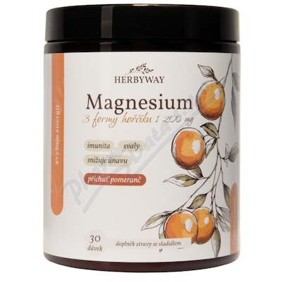 Herbyway Magnesium 1200mg 3 form.mag.pomeranč 170g
